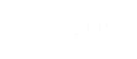 Dvision Network
